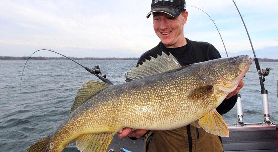 bay of quinte boat tours